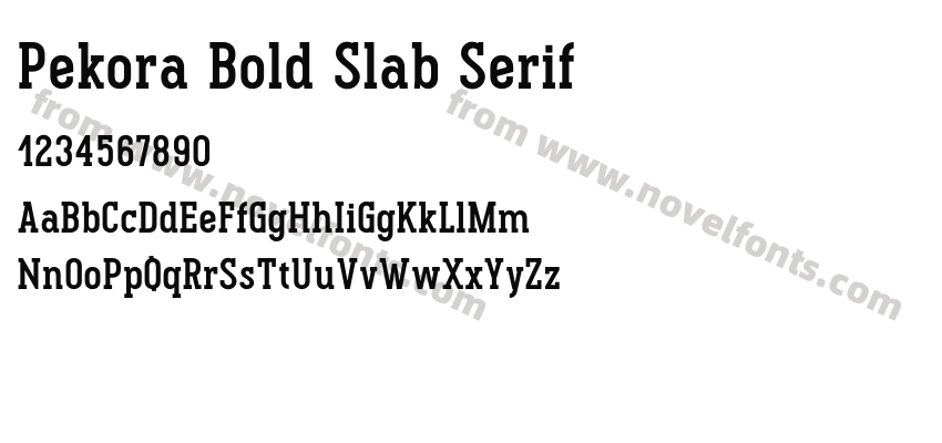 Pekora Bold Slab SerifPreview
