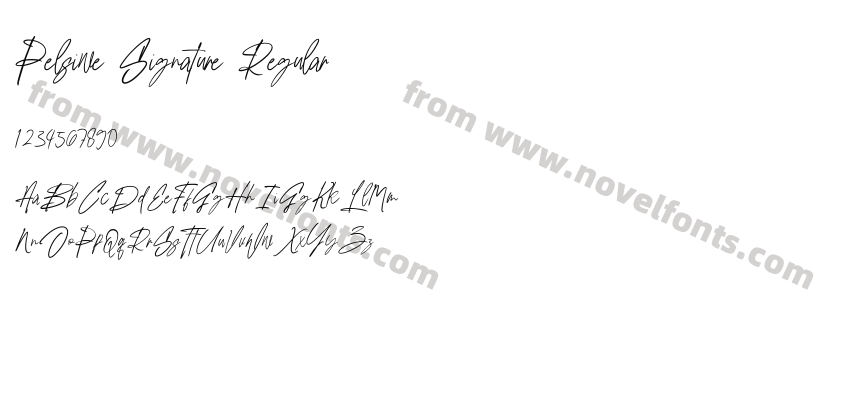 Pelsiwe Signature RegularPreview