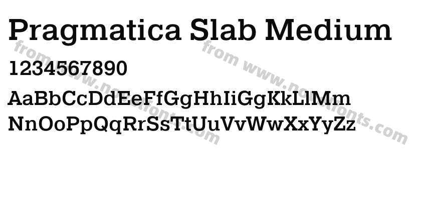 Pragmatica Slab MediumPreview