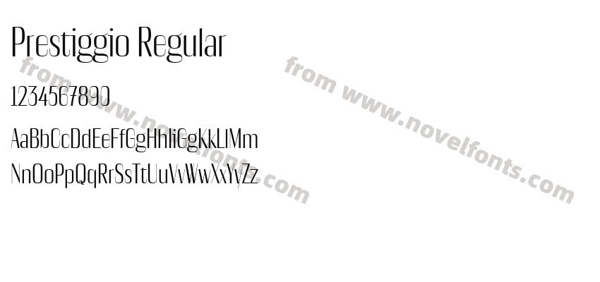 Prestiggio RegularPreview