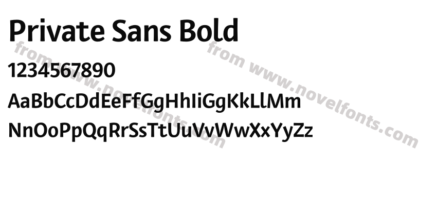 Private Sans BoldPreview