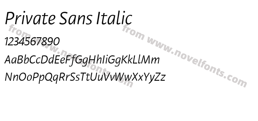 Private Sans ItalicPreview