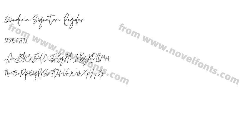 Qinderia Signature RegularPreview