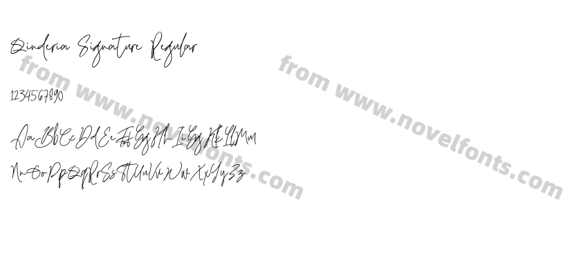 Qinderia Signature RegularPreview