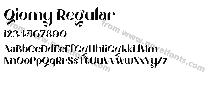 Qiomy RegularPreview