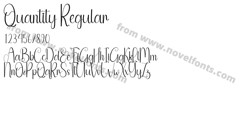 Quantity RegularPreview