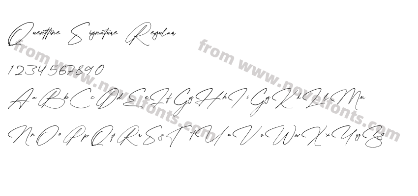 Quenttine Signature RegularPreview
