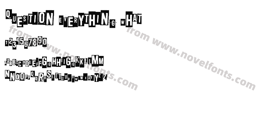 Question Everything WhatPreview