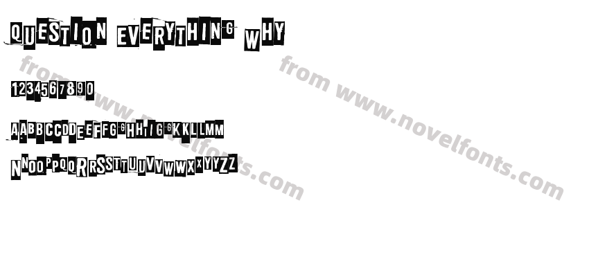 Question Everything WhyPreview