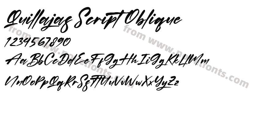 Quillajas Script ObliquePreview