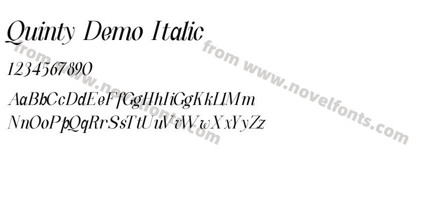 Quinty Demo ItalicPreview