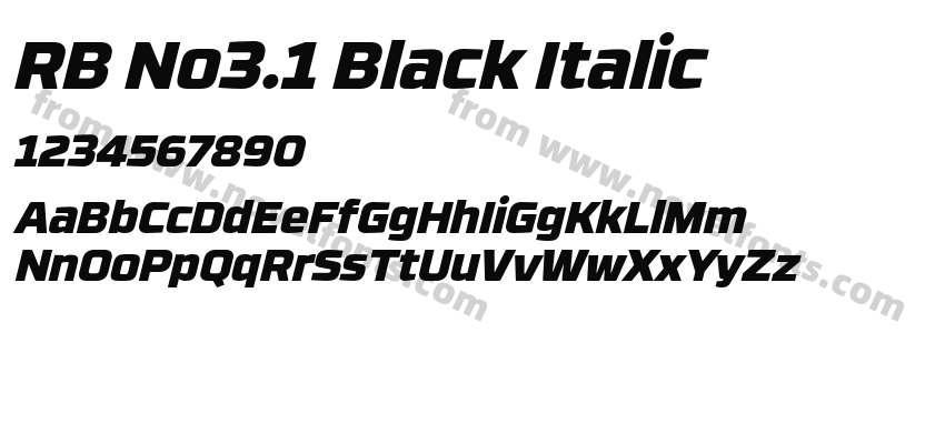 RB No3.1 Black ItalicPreview