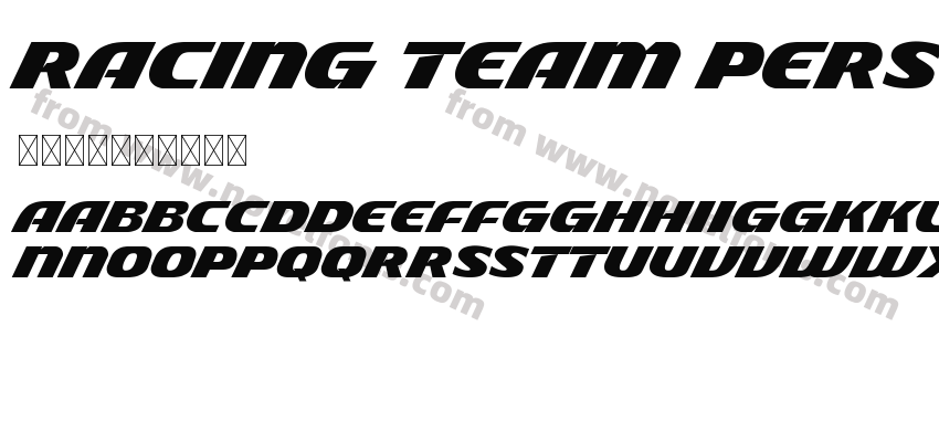 Racing Team Personal UsedPreview