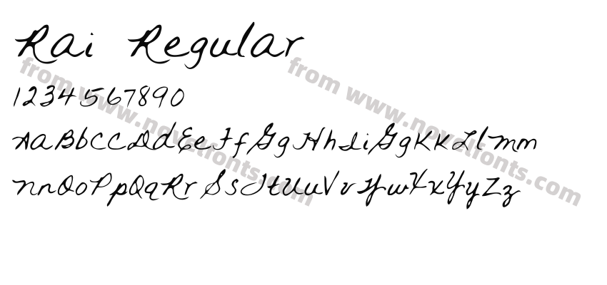 Rai RegularPreview