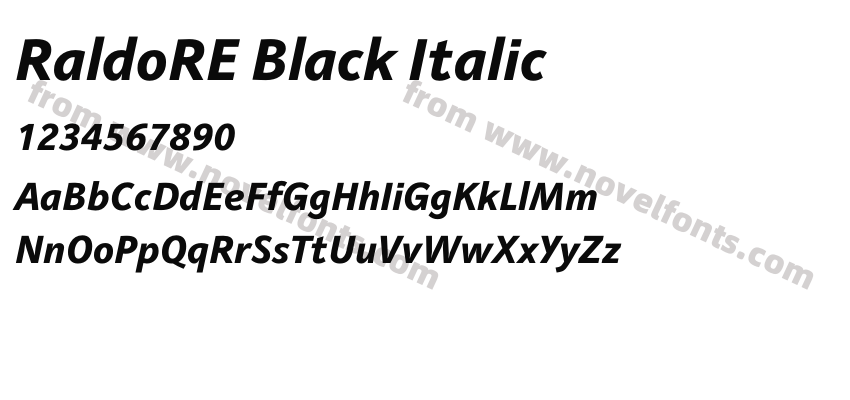 RaldoRE Black ItalicPreview