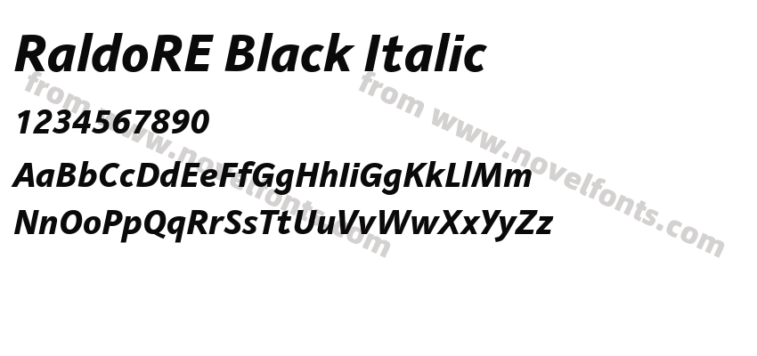 RaldoRE Black ItalicPreview