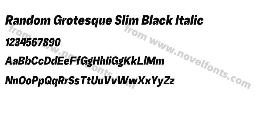 Random Grotesque Slim Black ItalicPreview