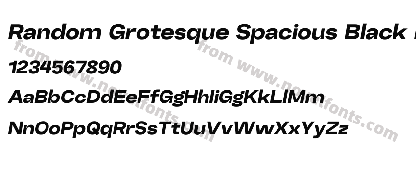 Random Grotesque Spacious Black ItalicPreview