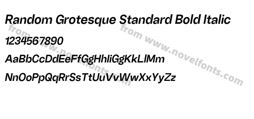 Random Grotesque Standard Bold ItalicPreview