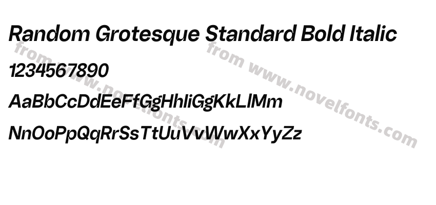 Random Grotesque Standard Bold ItalicPreview