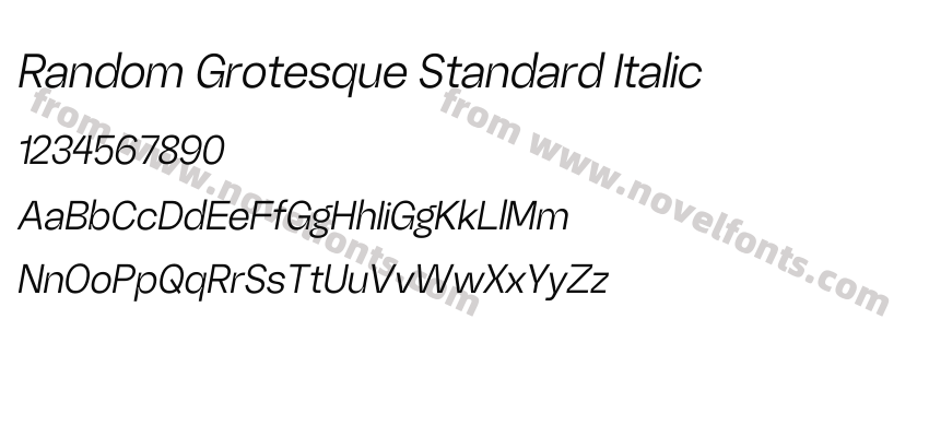 Random Grotesque Standard ItalicPreview