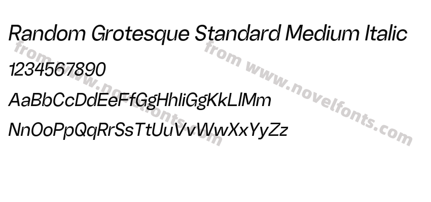 Random Grotesque Standard Medium ItalicPreview