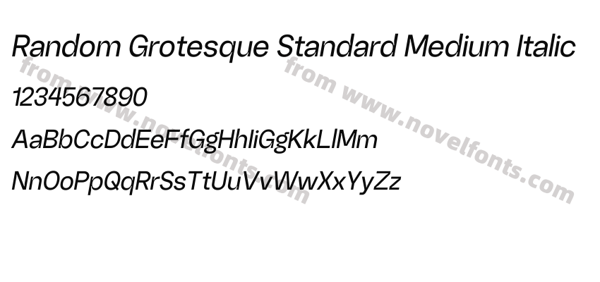 Random Grotesque Standard Medium ItalicPreview