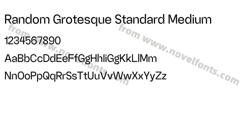 Random Grotesque Standard MediumPreview