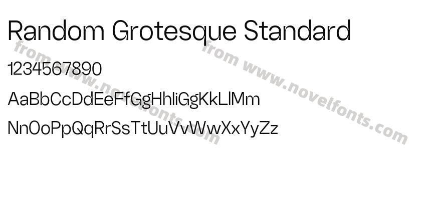 Random Grotesque StandardPreview