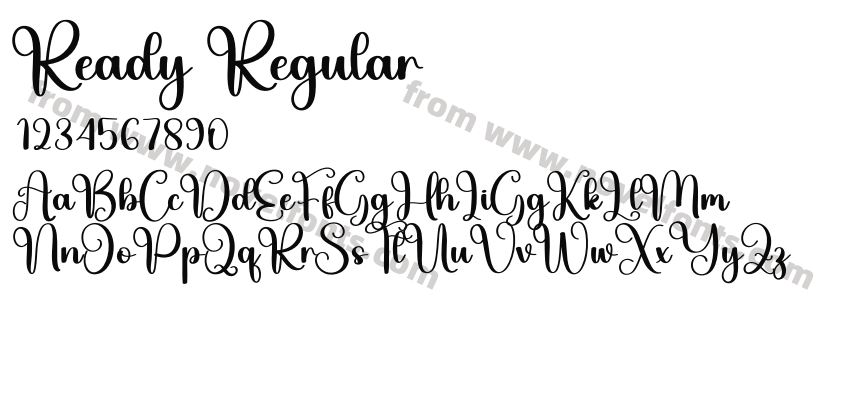 Ready RegularPreview