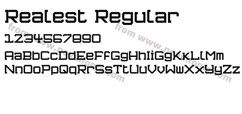 Realest RegularPreview