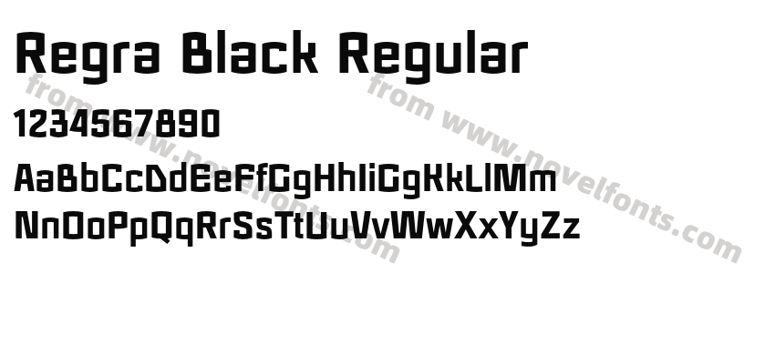 Regra Black RegularPreview