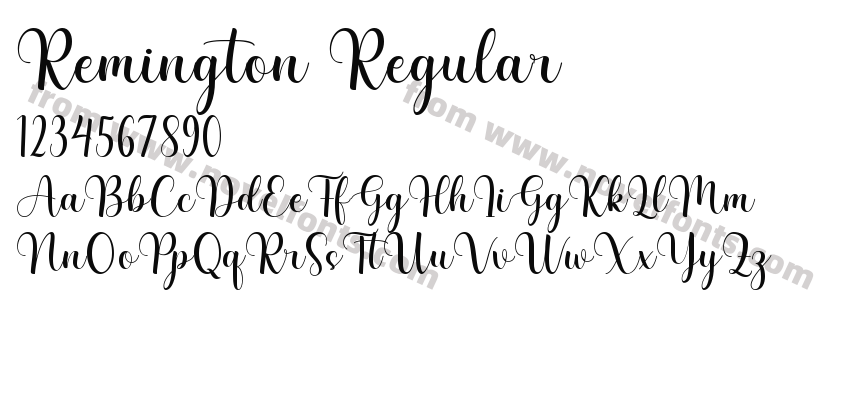 Remington RegularPreview