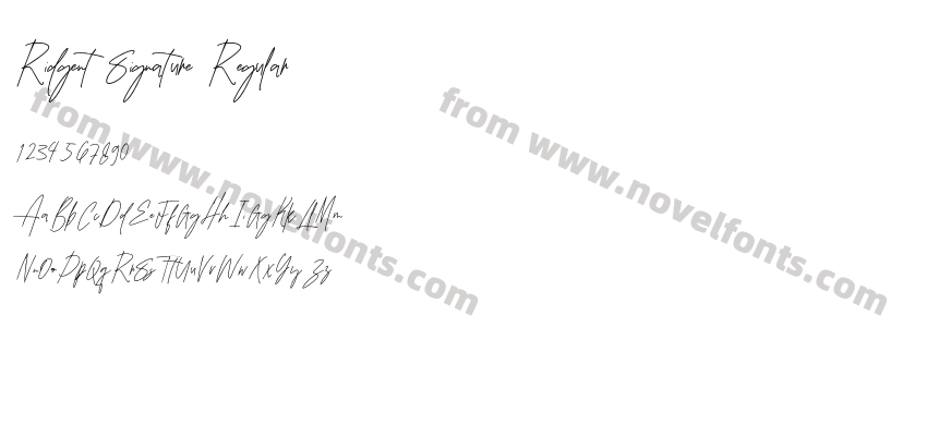 Ridgent Signature RegularPreview