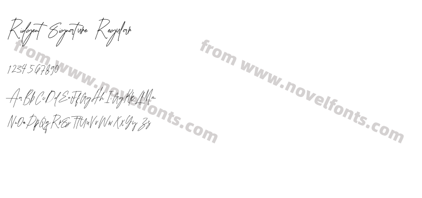 Ridgent Signature RegularPreview