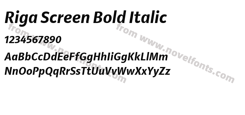 Riga Screen Bold ItalicPreview