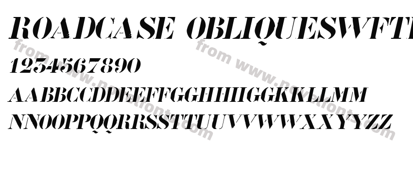Roadcase ObliqueSWFTEPreview