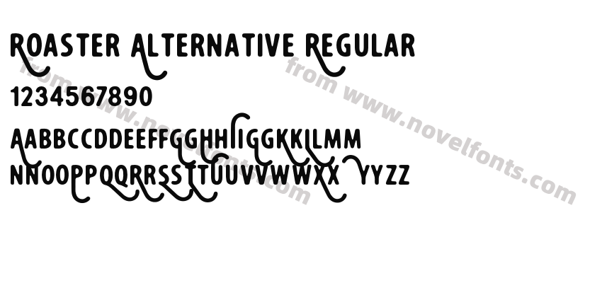 Roaster Alternative RegularPreview