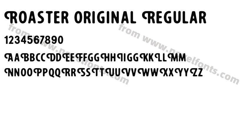 Roaster Original RegularPreview