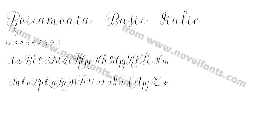 Roicamonta Basic ItalicPreview
