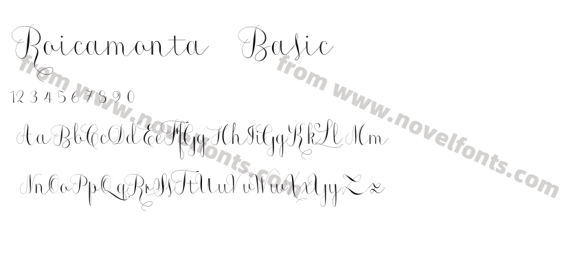 Roicamonta BasicPreview