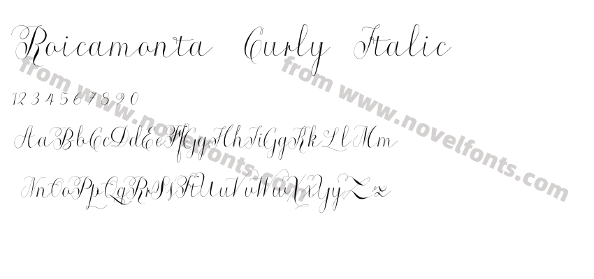 Roicamonta Curly ItalicPreview