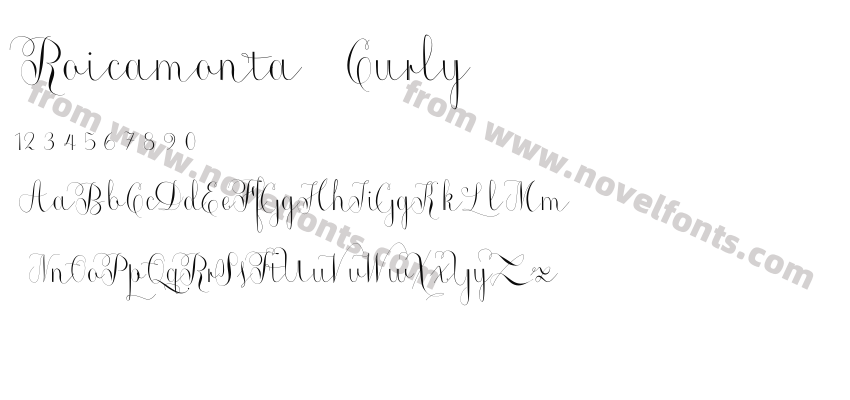 Roicamonta CurlyPreview