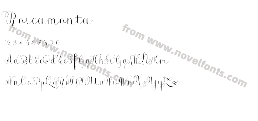 RoicamontaPreview