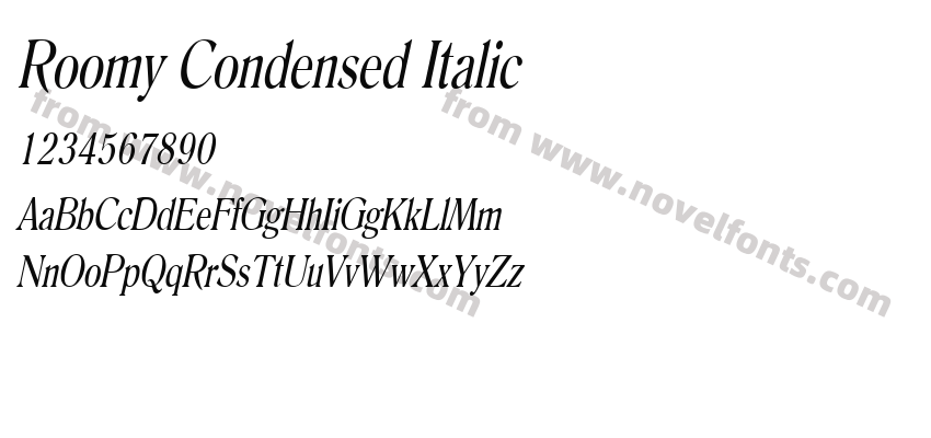 Roomy Condensed ItalicPreview