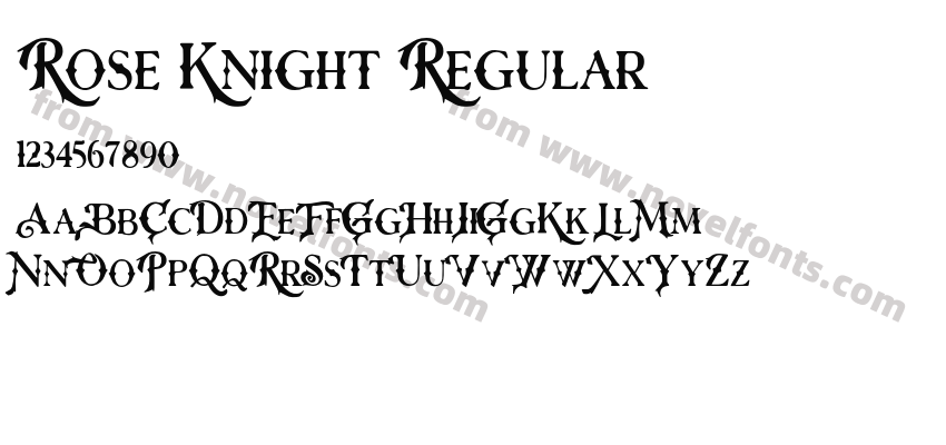 Rose Knight RegularPreview