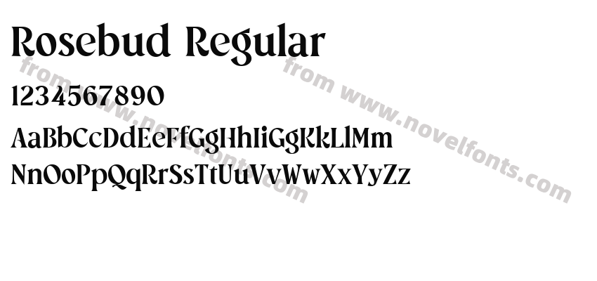 Rosebud RegularPreview