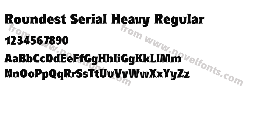 Roundest Serial Heavy RegularPreview