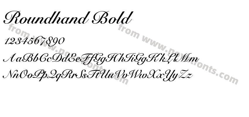 Roundhand BoldPreview