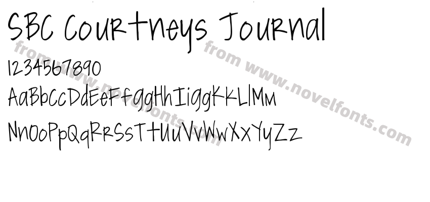 SBC Courtneys JournalPreview